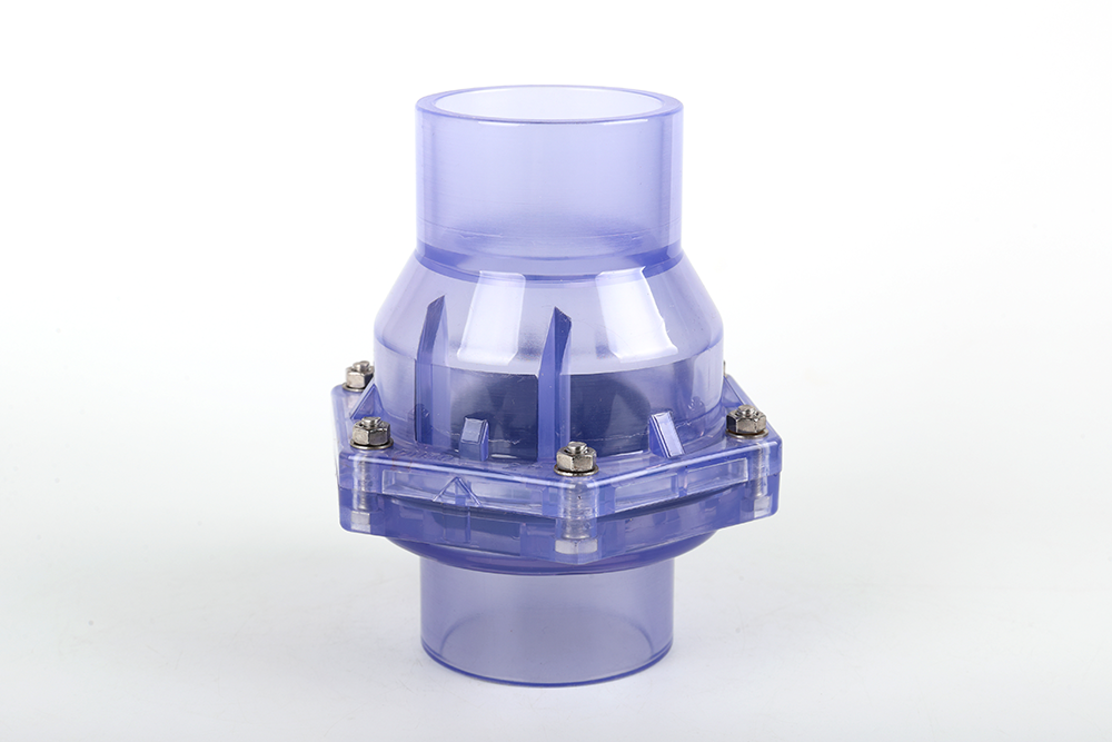 寿县透明翻板式止回阀